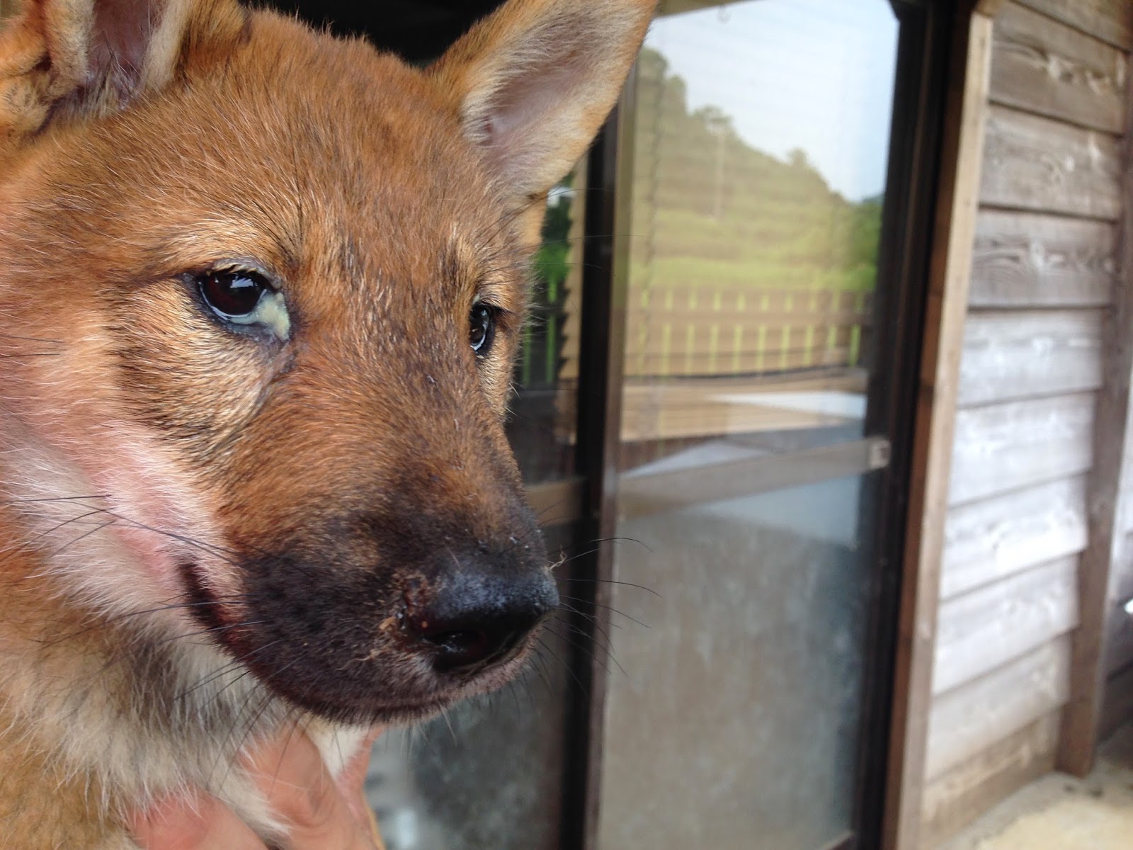 Why Do My Eyes Keep Getting Gunky at Jennifer Irizarry blog